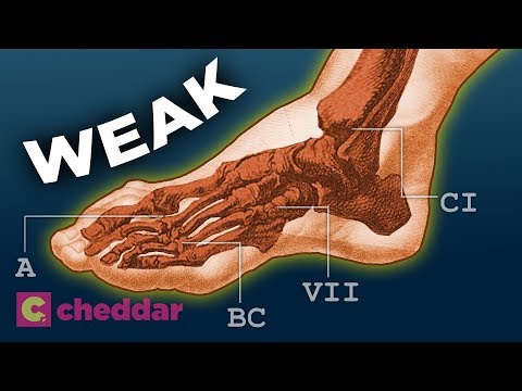 The Human Foot Is a Design Disaster - Cheddar Explores