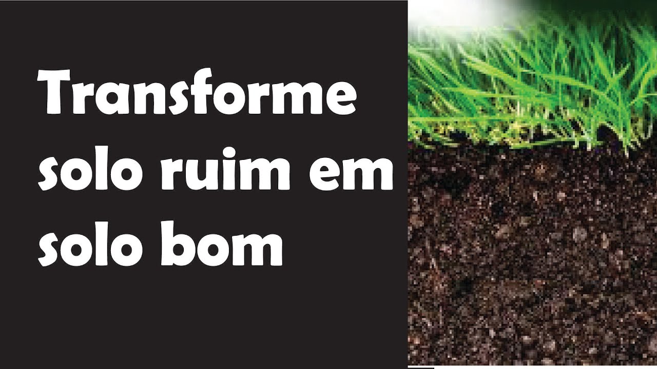 Transforme um solo ruim em solo bom para plantar