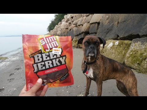 Slim Jim Premium Original Beef Jerky Review