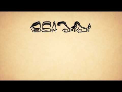 dHoffnig stirbt zletscht - BSA Didi