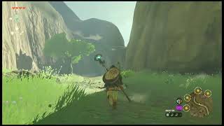The Legend of Zelda: Tears of the Kingdom 【today's stroll】day１④：ゼルダの伝説　ティアーズオブザキングダム【今日の散歩】１日目④