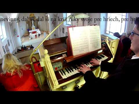 JKS 133 - Jezu Kriste (ein Passionslied)