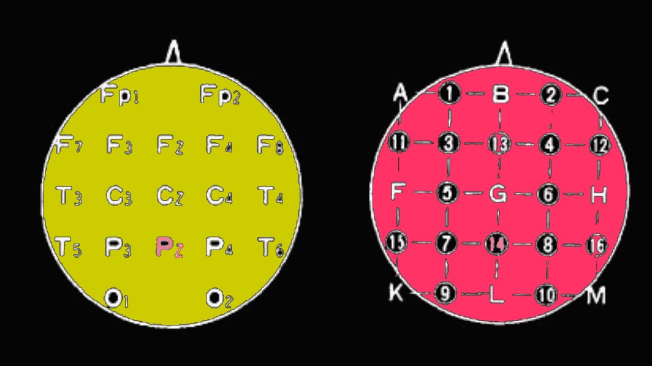 【媚薬周波数】30Hz25Hz10Hzという到達する上で必要な周波数とリードだけ