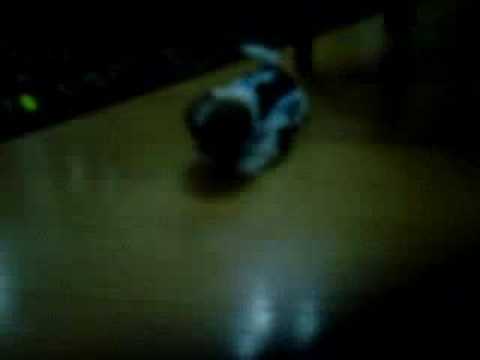 Mafalda 1 - 19/07/2007