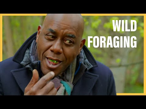 Ainsley Harriott Goes Foraging & Finds MAGIC Herbs... | Ainsley's Good Mood Food S1 Ep9
