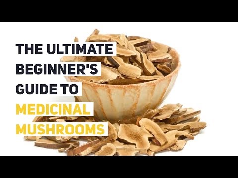 The Ultimate Beginner's Guide to Medicinal Mushrooms