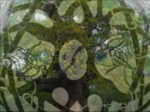 Moonloonies- Celtic Tree