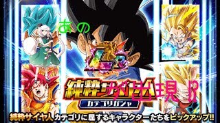 【ドッカンバトル】純粋サイヤ人カテゴリガシャ30連でまさかのあのLRが出現…？【ゆっくり実況】