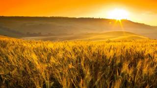 Anthony Phillips - Sunrise and Sea Monsters/Iona/Spirals/In the Maze