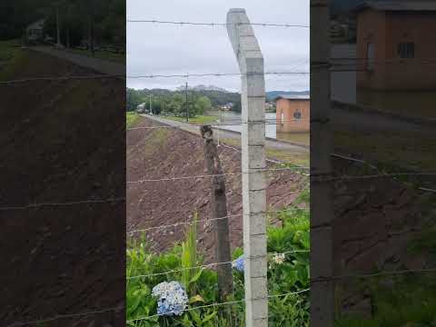 Barragem de Rio dos Cedros #solindicapravc #viagememfamília #santacatarina #riodoscedros #turismo