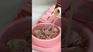 ASMR cat food sounds 🐈 #asmr #asmrsounds #catfood #feedmycats