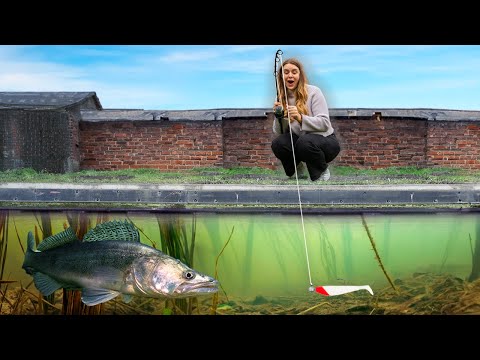 Auf der Suche nach Großbritanniens Rekord-Zander