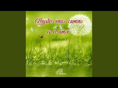 Tu Eres El Camino Del Amor - Reflexion De Esperanza
