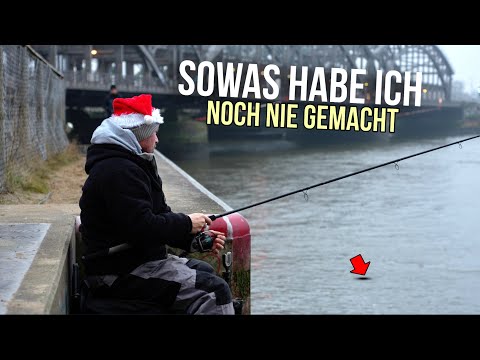 Futterkorbangeln (feedern) an den Elbbrücken in Hamburg