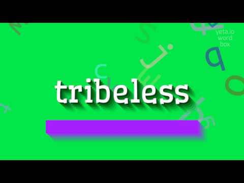 TRIBELESS - How to pronounce Tribeless?