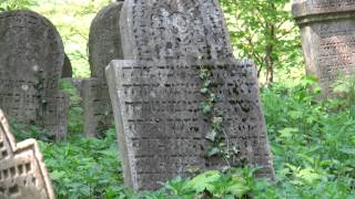 preview picture of video 'Cmentarz Żydowski w Białej Prudnickiej'