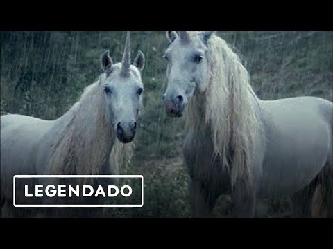 ☆LiL PEEP☆ x  horsehead - right here (legendado)