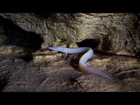 Progressive House Mix - Avg. Energy Level 3 - Mixed by Dura