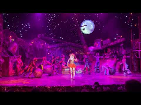 BOMBONACHONA Cats 2020 Cecilia Arias