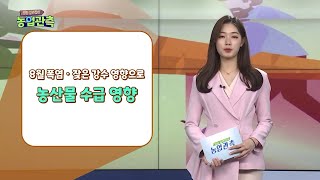 [영농길라잡이 농업관측] 2022년 8월 엽근채소