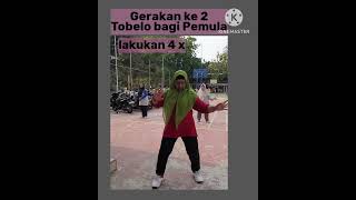 Download lagu Senam Tobelo Bagi Pemula_Silkys Family mp3