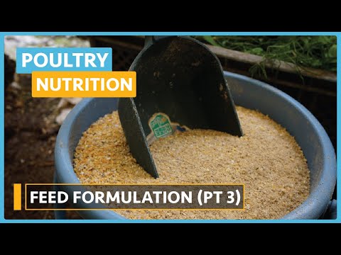 Poultry Nutrition Lesson 1 Introduction To Poultry Nutrition