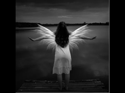 R3hab & Deorro, I Am Sam & Archie Ft. Sophia Brown -  Fly  (Asa BangkokElectro Edit) FREE DOWNLOAD