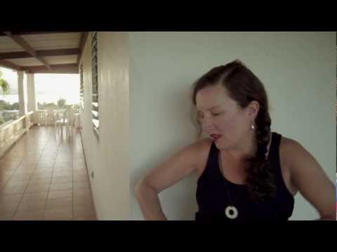 LEVITATE: Written on, and about VIEQUES. By Lisa McCormick