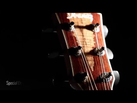 Ibanez AEW51 Video #1