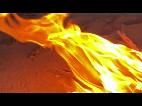 El Cuervo Negro - Desert Sage