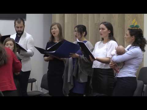 Akord tineret - Singur în noaptea rece