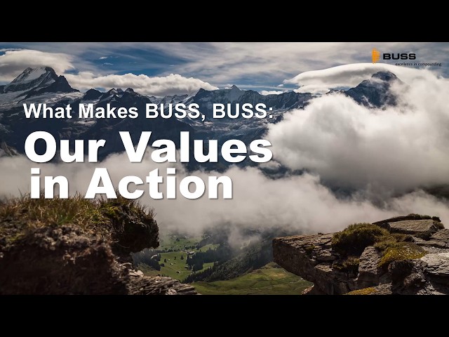 Our Values in Action