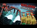 I Killed A Spindel Bot Farm For 10 Hours