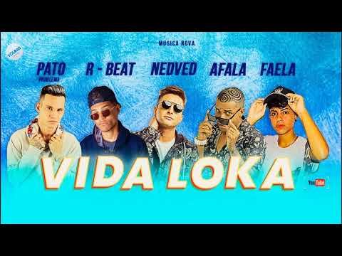 MC NEDVED, PATO PROBLEMA, MC AFALA E RBEAT feat MC FAELA - VIDA LOKA