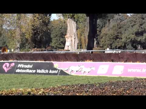 123. Velká Pardubická překážka Hurdles