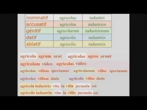 Initiation au latin - Gilles Louïse