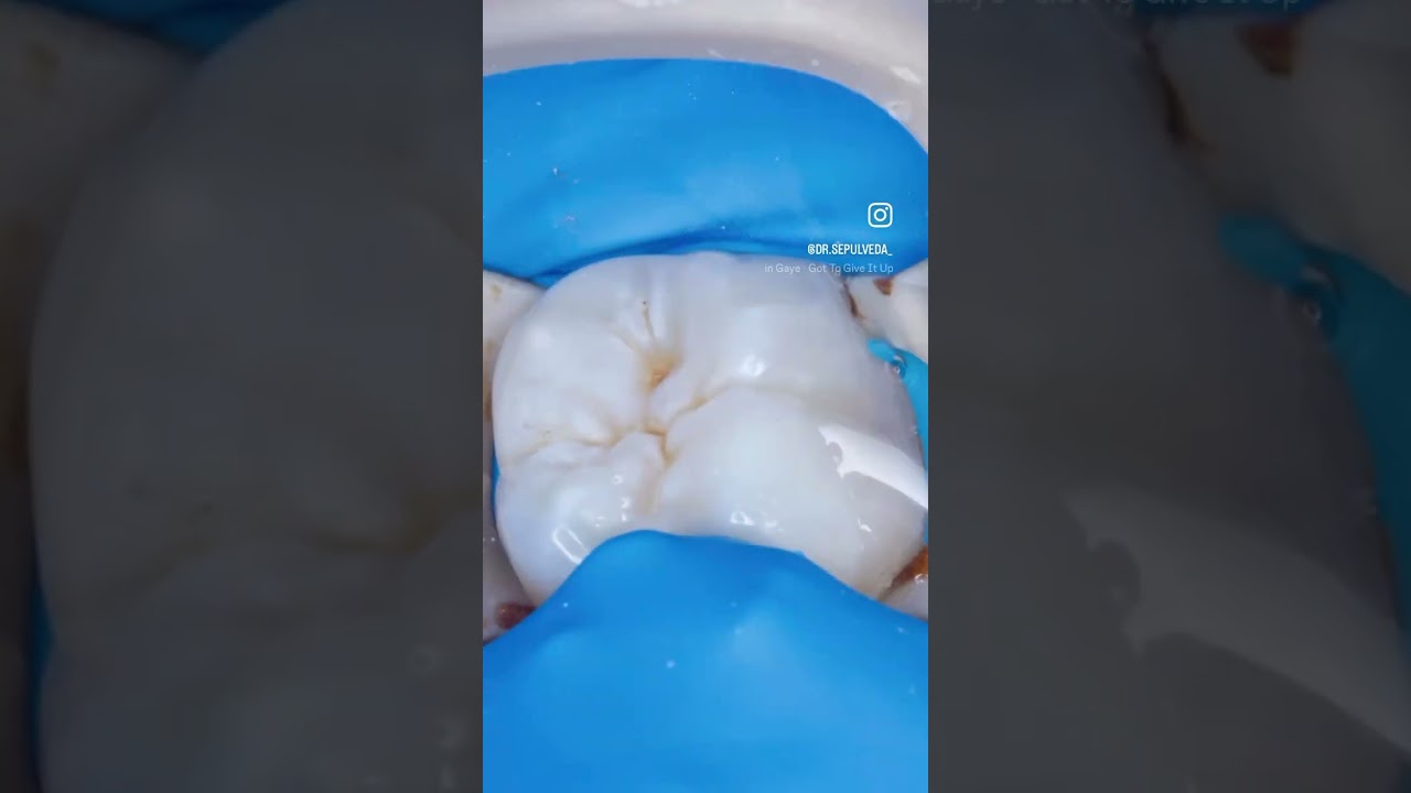 Javier Rodriguez Sepulveda-12