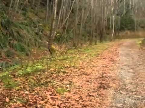 2014.04.06 Trails and marsh￼