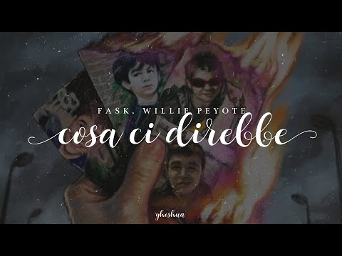 fast animals and slow kids, willie peyote - cosa ci direbbe (testo)