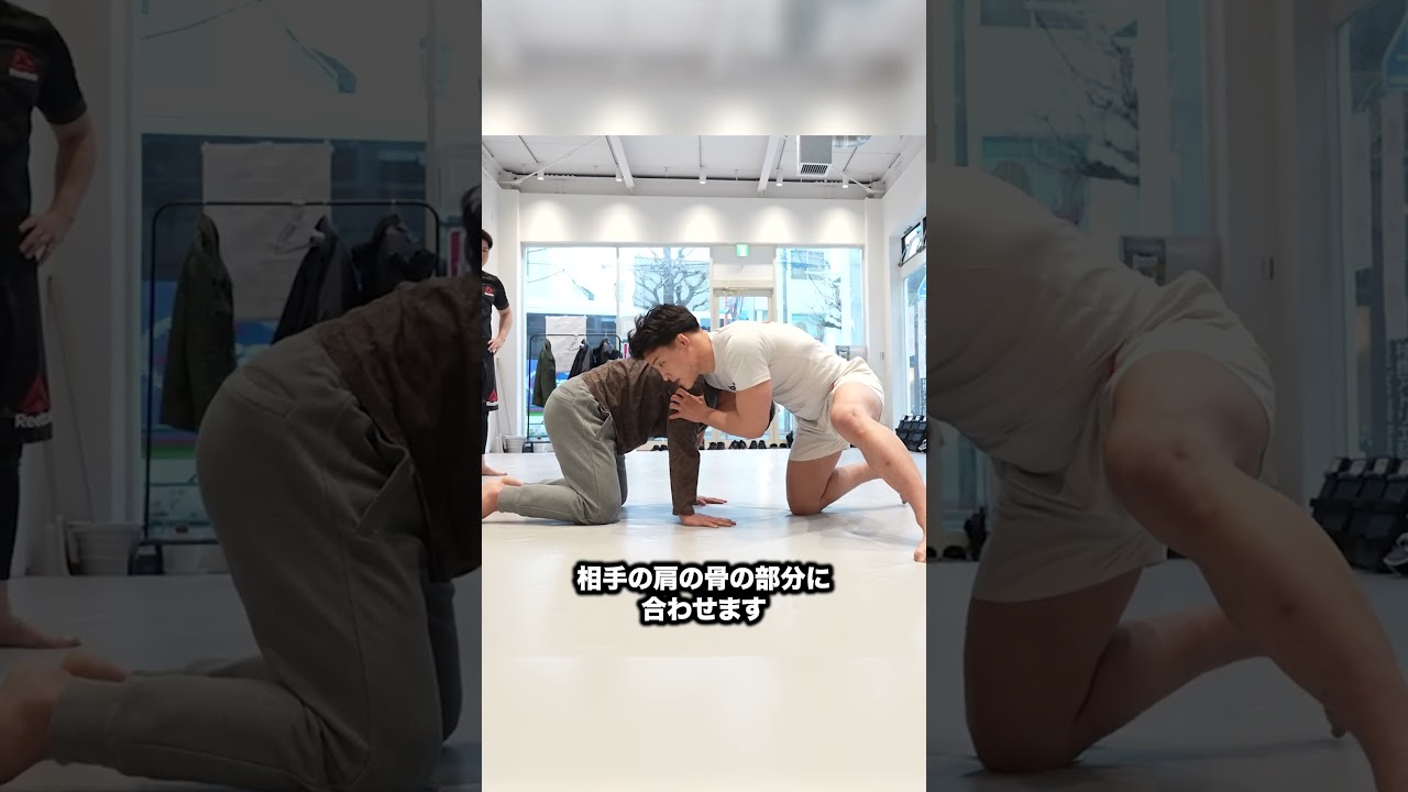 【安楽龍馬】がぶりコントロールの基本｜がぶりのコントロール