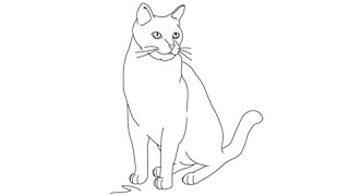 How to draw Cats - Easy step-by-step drawing lessons for kids