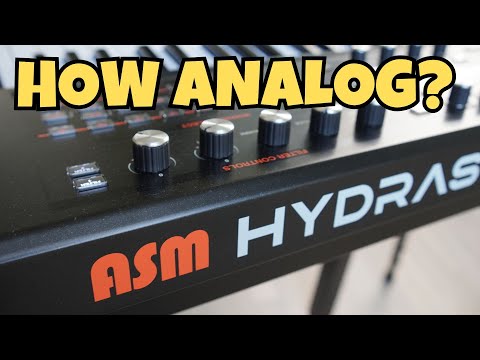 ASM HYDRASYNTH Surprised Me