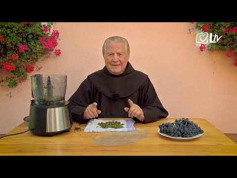 Zlatni savjeti - Vinova loza