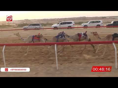  ش 5 (الشاهينيه) لـ وسام بن عبدالله المهري 2:11 , شارة الصندوق 2026/03/21 فطامين الجبيب