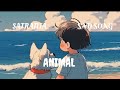 ANIMAL STARANGA RANVEER KAPOOR Rashmika V ARIJIT SRYAS P Siddharth Garima Bushan Trending Song