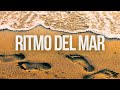 RITMO DEL MAR Reggaeton Fiesta Party Song New Latino Dance Music 2024