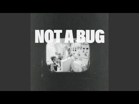 Not A Bug