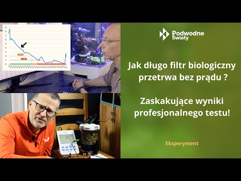 Zanik prądu, a biologia w kubełku