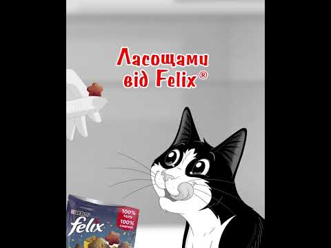Felix® Party Mix® - хрусткі ласощі для вашого котика!