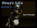 Stray's Life~Episode 4 